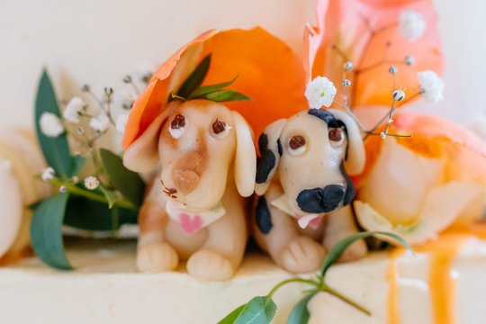 Detail Hochzeitstorte mit Hundefiguren Hochzeitsfotos Dresden-1